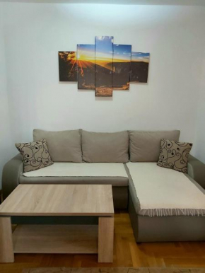 Apartman Vukotic
